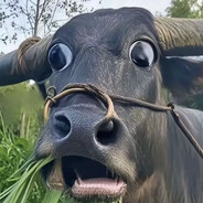 IVANMER伊万牛耳♂ avatar