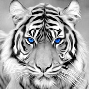 IceTiger