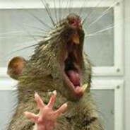 Unfiltered_Rat