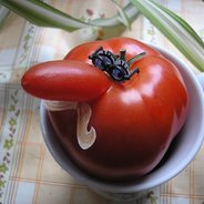 El Pomidoro