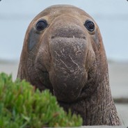 Jarnoandstuff