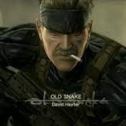Old Snake