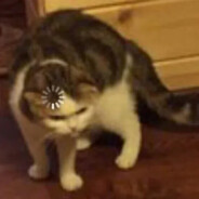MasterCrocrodile