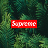 Supreme
