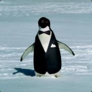 ->W[o]lD-->