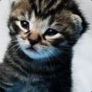 Toona[p]hish
