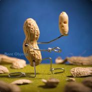 Pnuts