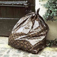 Alex🗑