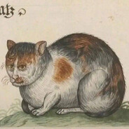 Illuminati3123 avatar