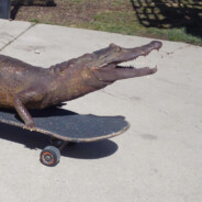 GaterSkater