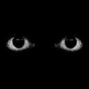 Void