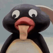 pingo