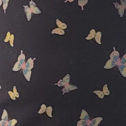 Butterflies 🦋