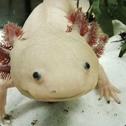 StichG