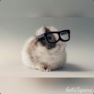Vanilla ♥
