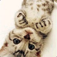 Elias_Dup - Me1ster