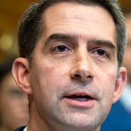 senator tom cotton