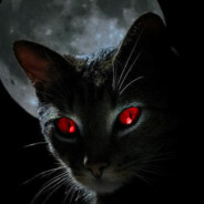Catmander Dragoncat