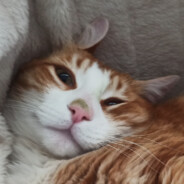 Eddy