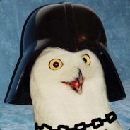 BajcareK
