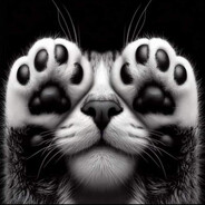 Puss