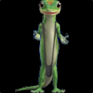 Lizard