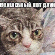 волшебный кот дау