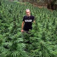 StrainHunter420