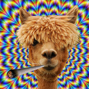 LAMAGIE