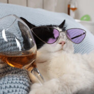 Vin Lent A