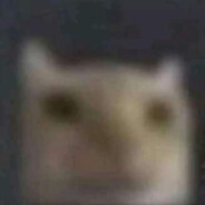 ALTRO96