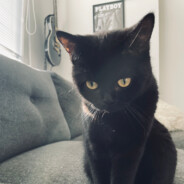 ♥♥♥♥♥♥♥♥♥♥♥ avatar