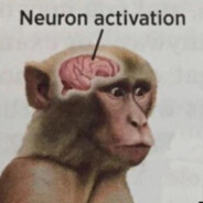 Australopithecus