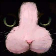 Porncat