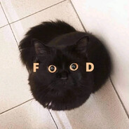 Food Cat
