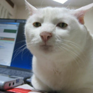 Dmitri