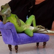 Lizard_Skinyrd