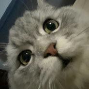 qq&ʇʞ