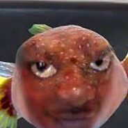 Racist fish