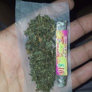 Mary Jane do CV