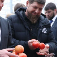 АЛАН95