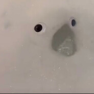 Suds