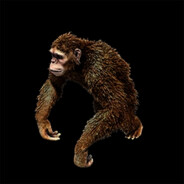 Furious the Monkey Boy