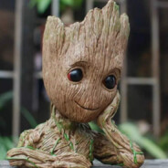 GROOT