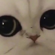Дуня