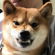 RoDoLfO