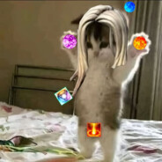 .rkv