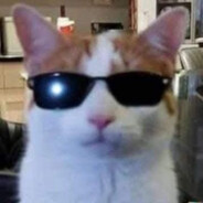 Kokcoon