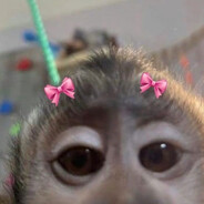 Marte  ๋࣭⭑˖⋆