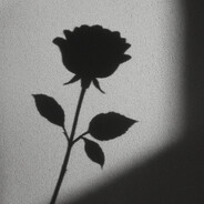 SHADOW